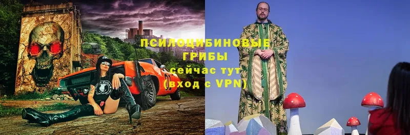 Галлюциногенные грибы мицелий  купить закладку  Владивосток 